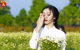 Ngẩn ngơ ngắm hoa khôi sinh viên Hà Nội khoe sắc bên cúc họa mi